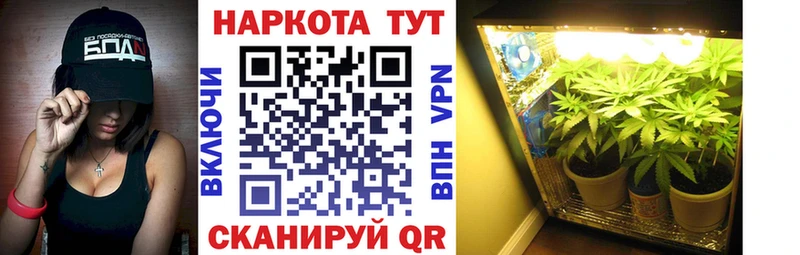 Купить наркотики цена Десногорск Бошки Шишки АМФЕТАМИН Мефедрон Кокаин