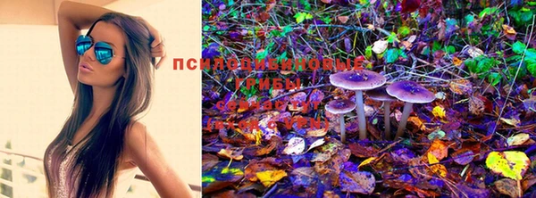 мефедрон мука Алексеевка