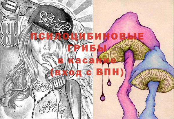 ПСИЛОЦИБИНОВЫЕ ГРИБЫ Алексин