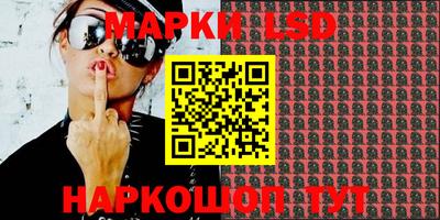 apvp Ярославль