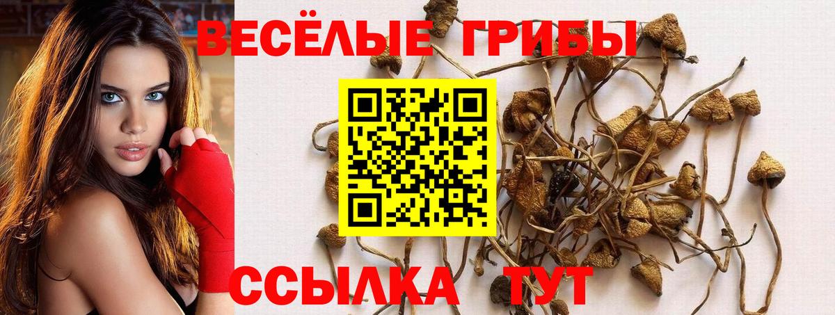 Псилоцибиновые грибы MAGIC MUSHROOMS  Вход с VPN  купить наркотик  Галлюциногенные грибы прущие грибы  Десногорск 